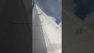 The feeling of freedom that comes with sailing #shorts #sailing
