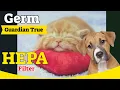 Germ Guardian True HEPA Filter Air Purifier - UV Light Sanitizer for Home Germs and Bacteria