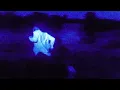 Daniel Caesar - Disillusioned (Official Audio)