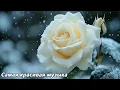 Download Lagu Лучшая музыка в мире🌿Слушайте эту музыку, и вам станет лучше🌿Лучшие мелодии Сергея Грищука