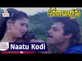 Lagu Naatu Kodi Pettoyamma  ||Saradha Bullodu || Venkatesh || Nagma