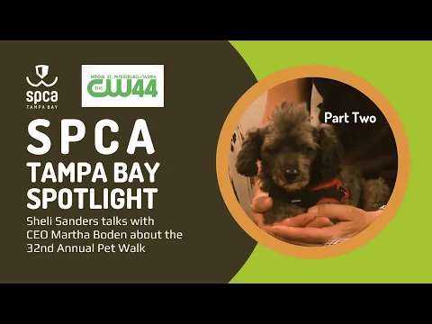 Download MP3 How to support pets during the 32nd Annual Pet Walk in Tampa Bay