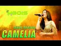 Download Lagu CAMELIA AUREL OKTAVIA  MBOIS MUSIC LIVE BANGKALAN
