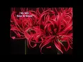 Download Lagu 犬夜叉 InuYasha - Ending 1 「My Will」 dream (Blu-Ray Version)