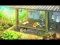 Tollan Kim -  Aesthetic