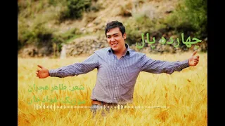                                        حمید سخی زاده  چهارده پال    آهنگ جدید                  دندنها