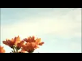liana flores - Sign (instrumental)