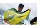 Download Lagu Dolphin Fishing in Miami