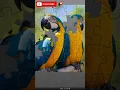 ONLINE JIGSAW GAME - PUZZLE GAME
