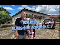 Download Lagu 重温侯府，两颗芒果树长势很好，可惜保安下雨不关窗墙壁发霉了，我们决定过来住几天
