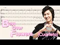 Stranger Sun - Boys Over Flowers (Cuarteto)