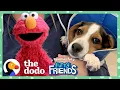 Elmo Helps Find A Rescue Puppy The Perfect Forever Family With Dodo Kids Sesame Street