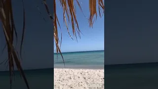 سنة الحياة حسين الجسمي 