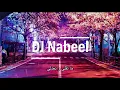 DJ NA - Carole Samaha - Bon Voyage-Lyrics  (Remix)