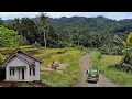 Download Lagu Terlalu subur‼️Megah super indah bikin kangen kampung terujung di lereng gunung BITUNG