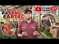 Download Lagu BEGINI CARA MEMASANG EARTAG PADA SAPI - STAR FARM SCHOOL