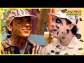 Zoboomafoo with the Kratt brothers Spots and Stripes Full Episode Animal Show for Kids