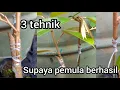 Download Lagu 3 TEHNIK SAMBUNG PUCUK DURIAN UNTUK PEMULA (part 2) @Kreatifpetani