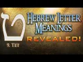 Hebrew Letter Meanings Revealed Part 9 Tet - Eric Burton