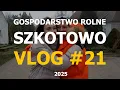 Lagu Sadzeniaki w magazynie, kukurydza w suszarni - czas na Święta! // VLOG#21 GR🥔Szkotowo