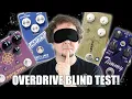 Download Lagu King Of Tone vs Morning Glory vs Timmy vs Lightspeed | Transparent overdrive pedal blind test!