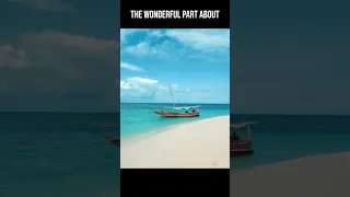 BLACKMARKET #sailinglife #travel  #oceanlife  #blackmarket  #cloves