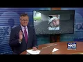 Man Suffers Life-Altering Injuries After Rock Attack Near Canal Park Teen Charged