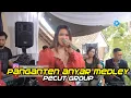 Download Lagu Panganten Anyar Medley - Voc.Nunuy Jebred - Pecut Group - Live Cikukulu Conggeang - Sumedang