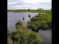 Download Lagu Brachvenn – Het mystieke veengebied van Oost-België