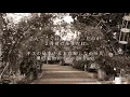 赤い糸 - コブクロ（フル）