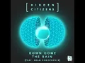 Down Come the Rain