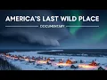 Fairbanks Alaska One of the World s Last Truly Wild Places 4k Documentary