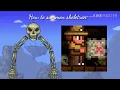 How to summon skeletron in teraria