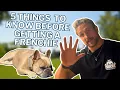 5 Things You Need To Know Before Getting A French Bulldog