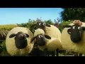 Lagu Shaun the Sheep: Food, Friendship \u0026 Warm Fuzzy Moments 🐑❤️🍽️