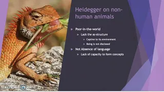 dependent rational animals lecture 5 heidegger on animals