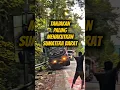 Download Lagu Sitinjau Lauik: Tanjakan Paling Menakutkan di Sumatera Barat!