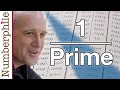 The Reciprocals of Primes - Numberphile