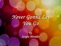 Never Gonna Let You Go || Lyrics || Sergio Mendes