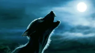 lupin transforms into a werewolf harry potter and the prisoner of azkaban