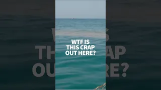 WTF is this crap stinking up the ocean? #windedvoyage #sailing #sailingafrica