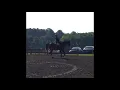 Kellen Sullivan James River Hunt Horse Show