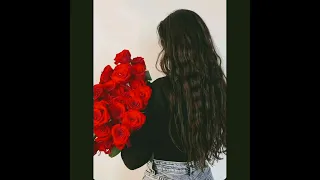 الورد الأحمر Samo Zain 