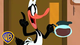 Daffy's Coffee Chaos! ☕ | Looney Tunes Cartoons | @wbkids