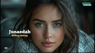 hidung belang junaedah awara pim s achmadi