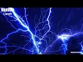 Lamb - Illumina