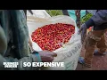 Download Lagu Why Single-Origin Coffee Is So Expensive | So Expensive | Business Insider