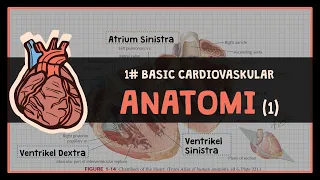 Download (1/2) Anatomi Struktur Jantung : #1 BASIC CARDIOVASKULAR MP3