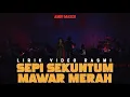 Download Lagu Sepi Sekuntum Mawar Merah - Amir Masdi | Lirik Video Rasmi