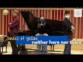 Download Lagu Shades of Yellow | neither here nor there